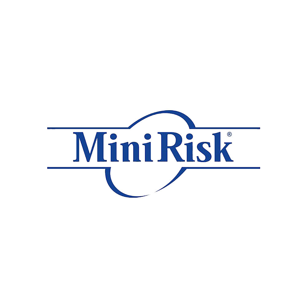 Mini Risk